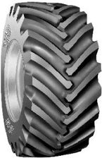 Zdjęcie BKT TR137 30.5L/R32 - Pyrzyce