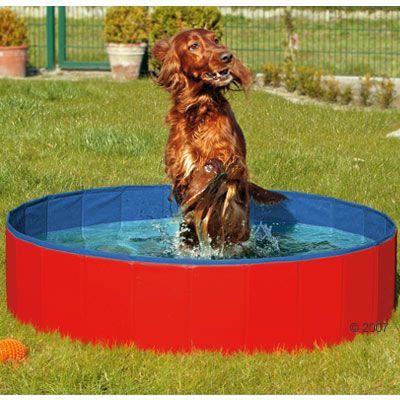 Doggy Pool - 80 x 20 cm