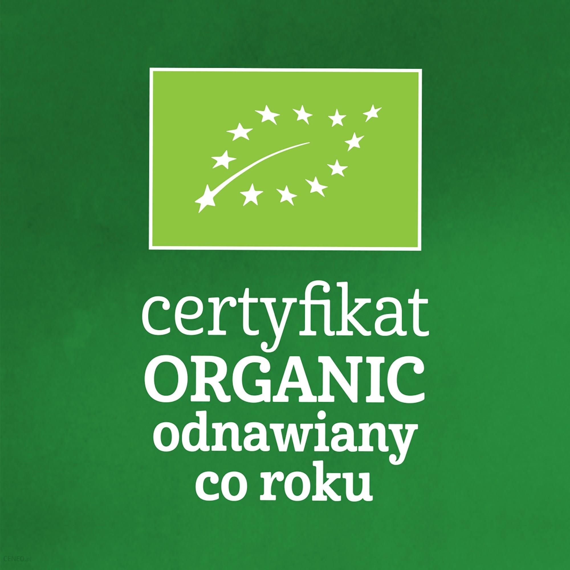 Gerber Organic Deserek 100% Wegański Z Musem Kokosowym Mango Kiwi Po 6 Miesiącu 360g