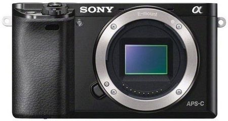 Sony Alpha A6000 (Ilce-6000) + Tamron 17-70Mm F/2.8 Di III-A Vc Rxd