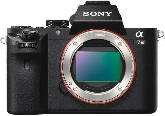 SONY α7 III + TAMRON 70-300mm レンズ TAMRON 70-300mm F/4.5-6.3 Di III RXD (Model A047) [ソニーE用
