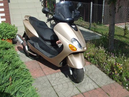 Yamaha Majesty 125 Yamaha Yp 125 R Lenkkopflager-Satz Für Yamaha