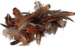 Zdjęcie PIÓRA PIÓRKA DEKORACYJNE OZDOBNE 8G 6-10CM - Piastów