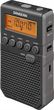 SANGEAN DT-800 Czarny
