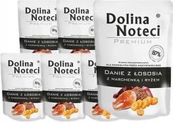 Dolina Noteci Danie Dla Psa Łosoś Z Marchewką 12X300G