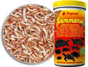Tropical Gammarus 12G-Pokarm Dla Ryb I Żółwi