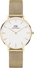 Daniel Wellington Petite Evergold 32 DW00100348
