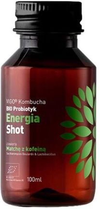 Vigo Kombucha BIO Probiotyk Energia Shot 100ml