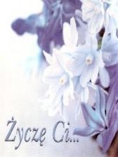 Zdjęcie zYCzE CI...-SWPA - Rybnik