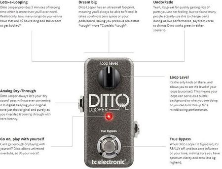 ギター tc electronic DITTO+ Looper Tc Electronic Ditto+ Looper - Ceny i opinie - Ceneo.pl