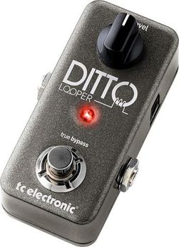 Tc Electronic Ditto+ Looper - Ceny i opinie - Ceneo.pl