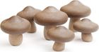 Qualy - Magnesy Shiitake