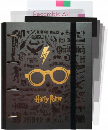 Harry Potter Segregator 100 Kartek A4 41Mm 4 Ringi