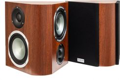 Zdjęcie Taga Platinum S-100 v.3 Wenge  - Poznań