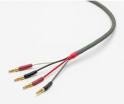 Zdjęcie Straight Wire Chorus II Przewód Głośnikowy 2x3m  - Czempiń
