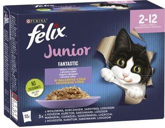 Felix Fantastic Junior Karma dla kociąt wybór smaków w galaretce 12x85g