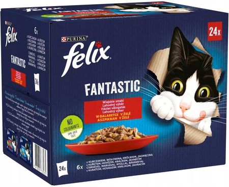 Felix Fantastic Karma Dla Kotów Wiejskie Smaki W Galaretce 24x85g