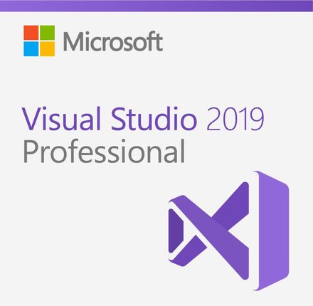 Microsoft Co Microsoft Visual Studio 2019 Professional (C5E01380)