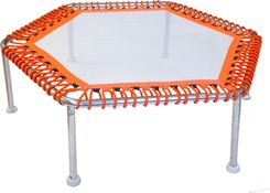 Zdjęcie Waterflex Aquatrampolina Ośmiokątna Wx Tramp - Pabianice