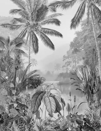 Komar Fototapeta Lac Tropical Black & White (R2008)