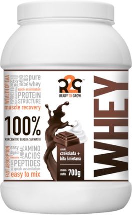R2G Wpc Whey Protein Concentrate 700g