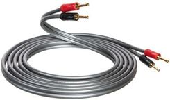 Zdjęcie Qed Signature Xt 40 1 Mb - Sulejówek