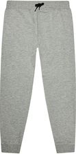 Name It Spodnie Dresowe Unb Noos 13153684 Szary Regular Fit