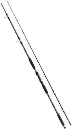 JAXON WĘDKA ECLATIS CAT FISH 3,15M 500G CATFISH (WJECL315500)