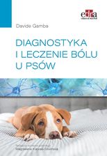 Zdjęcie Diagnostyka i leczenie bólu u psów - Jeziorany