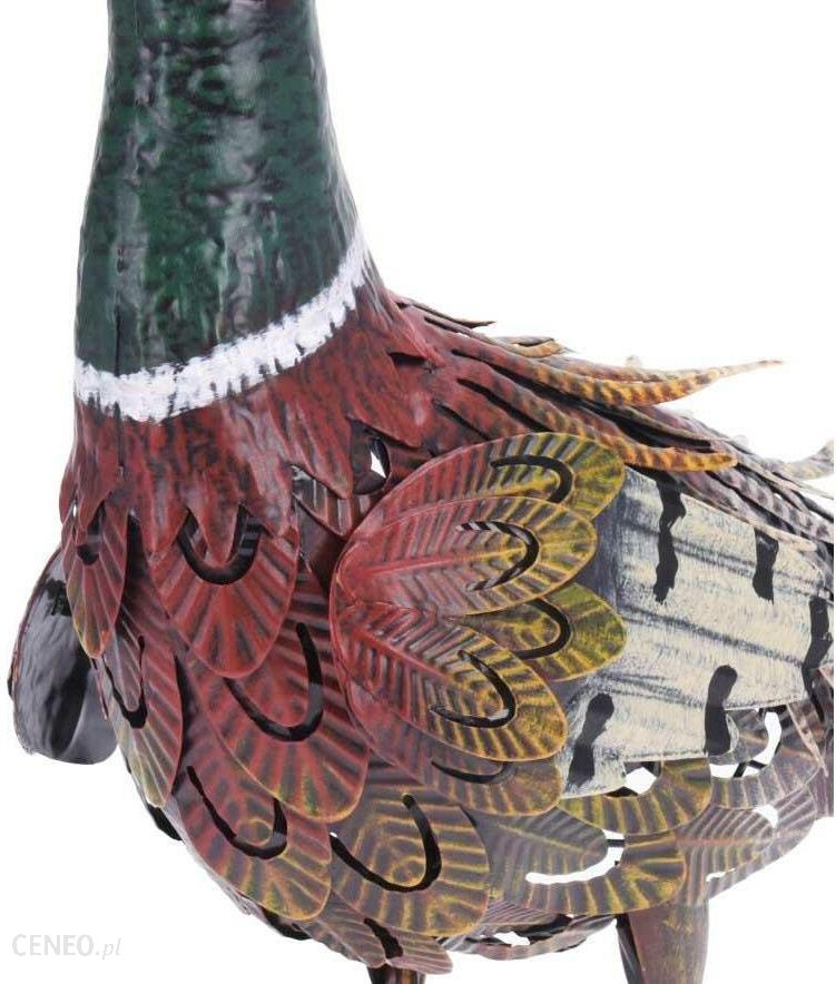 Progarden Dekoracyjny Ptak Bażant Do Ogrodu