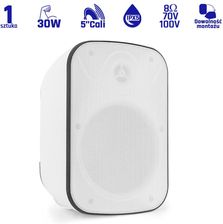 BD50TW Speaker 5