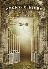 Zdjęcie Ważka. Pochyłe niebo. Tom 3 - Brańsk