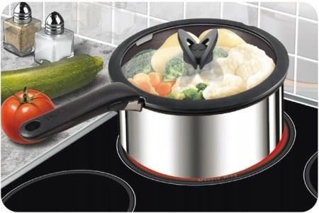 TEFAL INGENIO GLASDECKELN SET 4 STÜCK 22, 24, 26, 28 CM GLASDECKEL, DECKELN, NEU