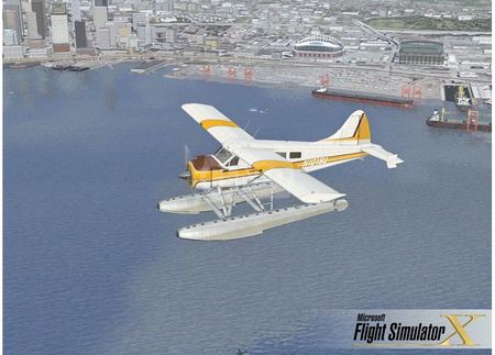 Flight Simulator X Gold Edition (Gra PC) - Ceneo.pl