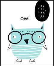 4ROOMS PLAKAT, LITERA O JAK OWL - ALFABET - Plakaty handmade
