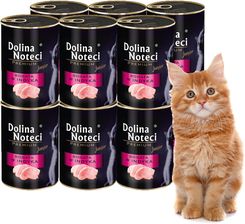 Dolina Noteci Premium Junior Indyk 12X400G