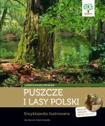 Puszcze i lasy Polski