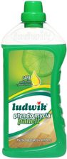 Zdjęcie Ludwik Płyn Do Mycia Paneli 1 L - Płońsk