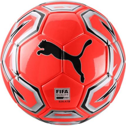 Puma Futsal 1 Fifa Quality Pro 4