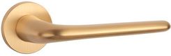 Zdjęcie Aprile Klamka Azalia R Slim 7Mm Złoto Mat - Ciechanów