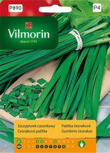 Zdjęcie Szczypiorek Czosnkowy Vilmorin - Wrocław