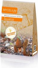 CERTYFIKOWANA GRZYBNIA SMARDZE