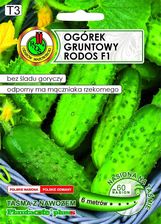 Zdjęcie Ogórek gruntowy Rodos - taśma 6mb 60 nasion - Toszek
