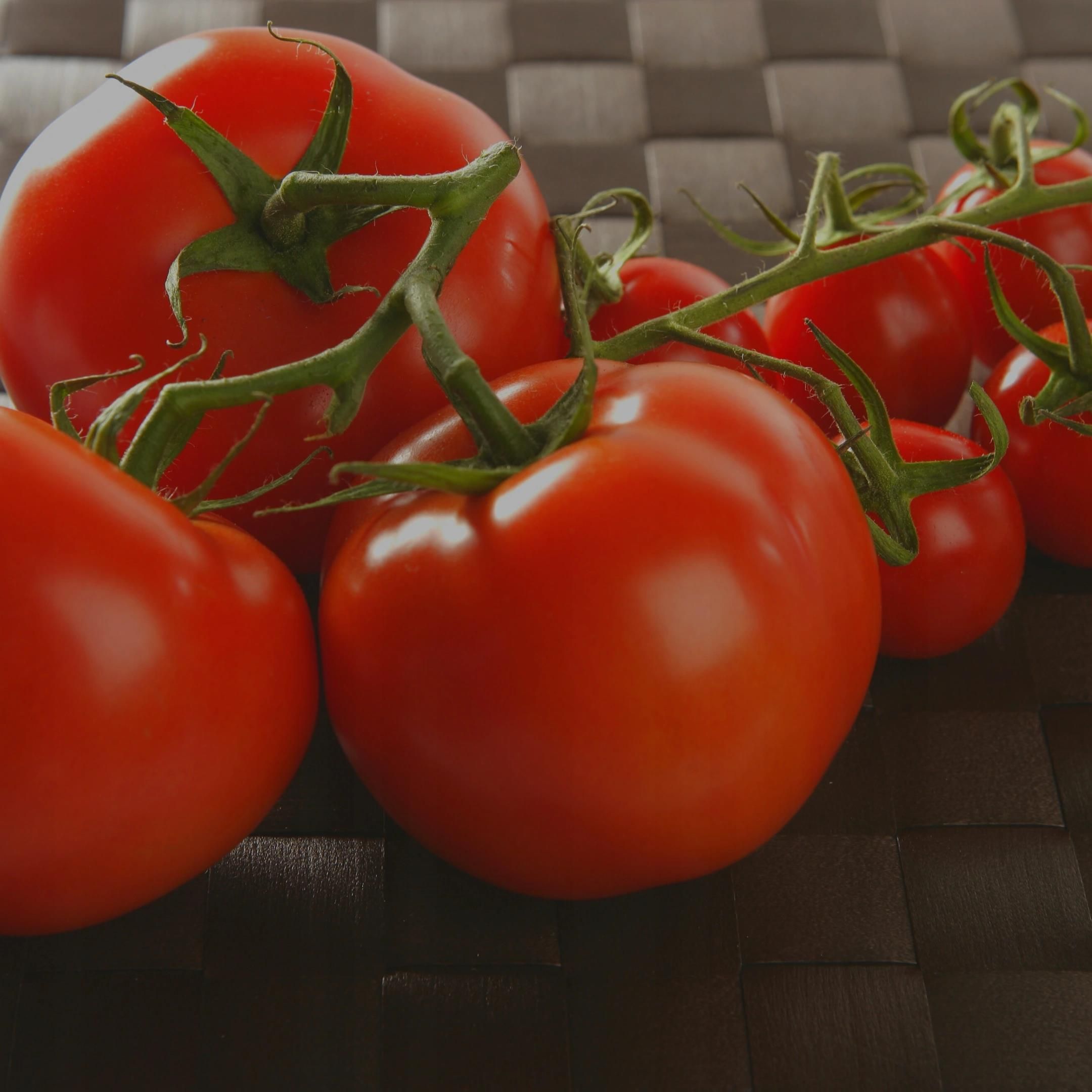 Pomidor szklarniowy Baron 0,1g/PL - Ceny i opinie - Ceneo.pl