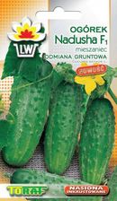 Zdjęcie Ogórek nadusha odmiana Holenderska - Konstantynów Łódzki