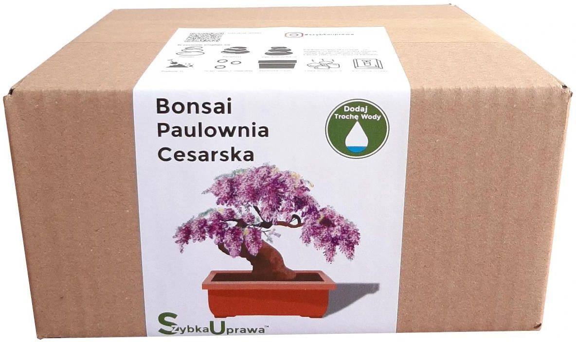 Bonsai Paulownia Cesarska Omszona Zestaw Do Uprawy - Ceny i opinie -  Ceneo.pl
