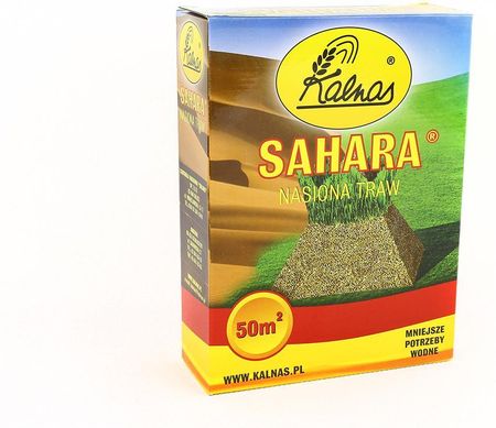 Kalnas Trawa Sahara 0,9kg powierzchnie słoneczne