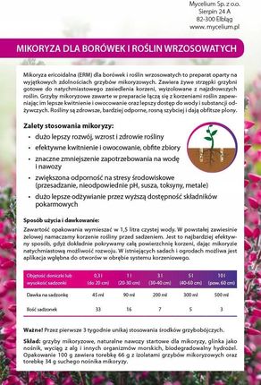 Grzybnia Mikoryzowa Borówki i Jagody Duże Owoce - zdjęcie 2