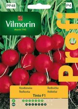 Zdjęcie Rzodkiewka Tinto F1 5g Vilmorin - Pszów