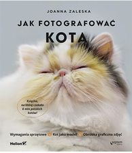 Zdjęcie Jak fotografować kota - Drezdenko